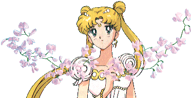 Usagi Tsukino / Sailor Moon