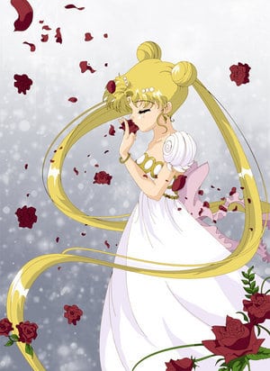 Usagi Tsukino / Sailor Moon