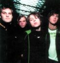The Vines