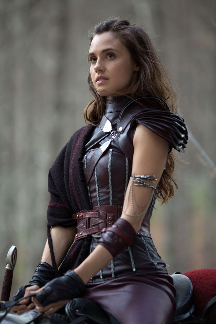 The Shannara Chronicles The Shannara Chronicles