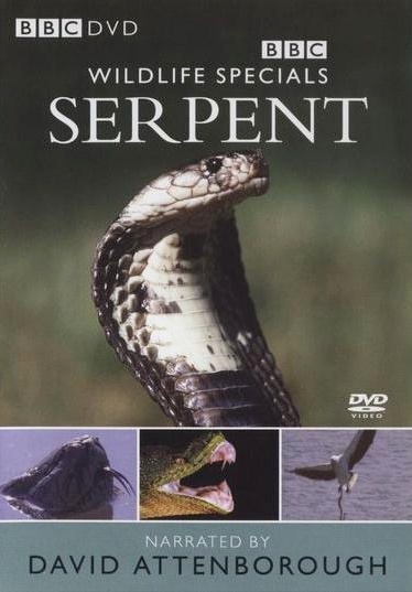 Wildlife Specials