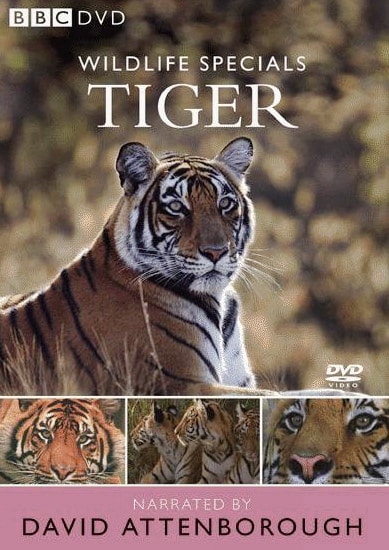 Wildlife Specials