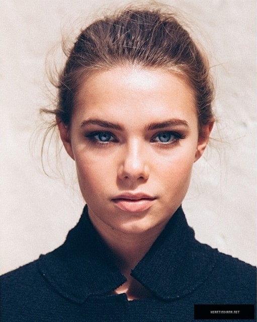 Indiana Evans