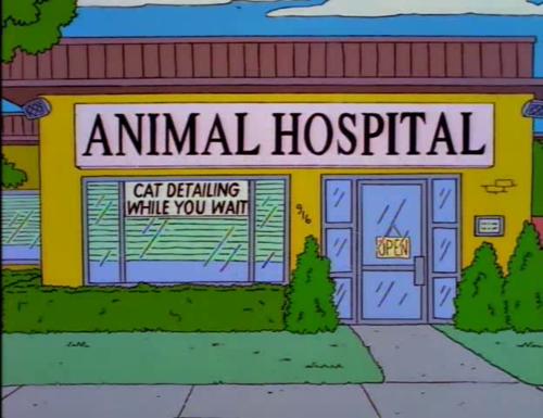 The Simpsons