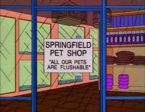 The Simpsons