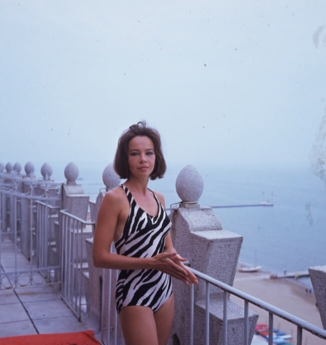 Leslie Caron