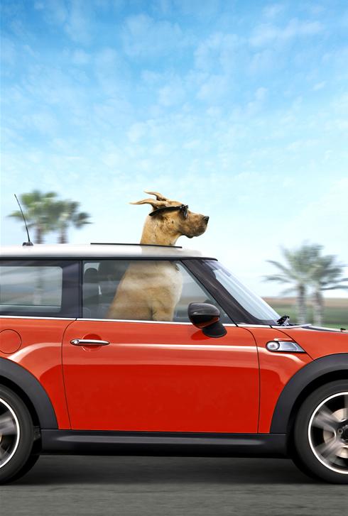 Marmaduke Marmaduke