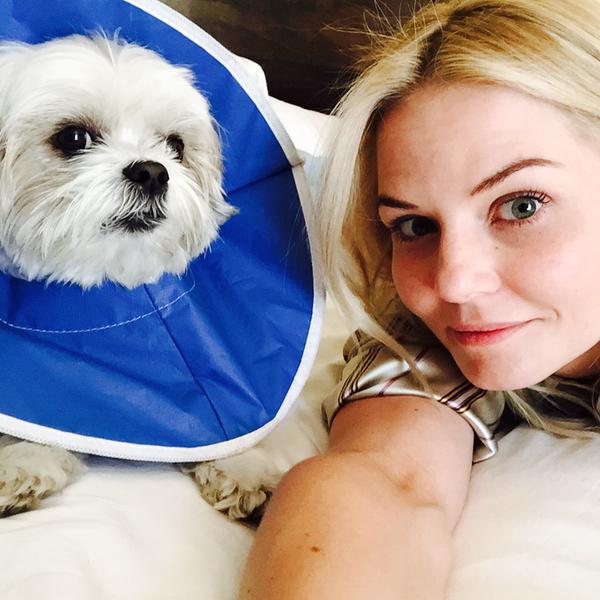 Jennifer Morrison