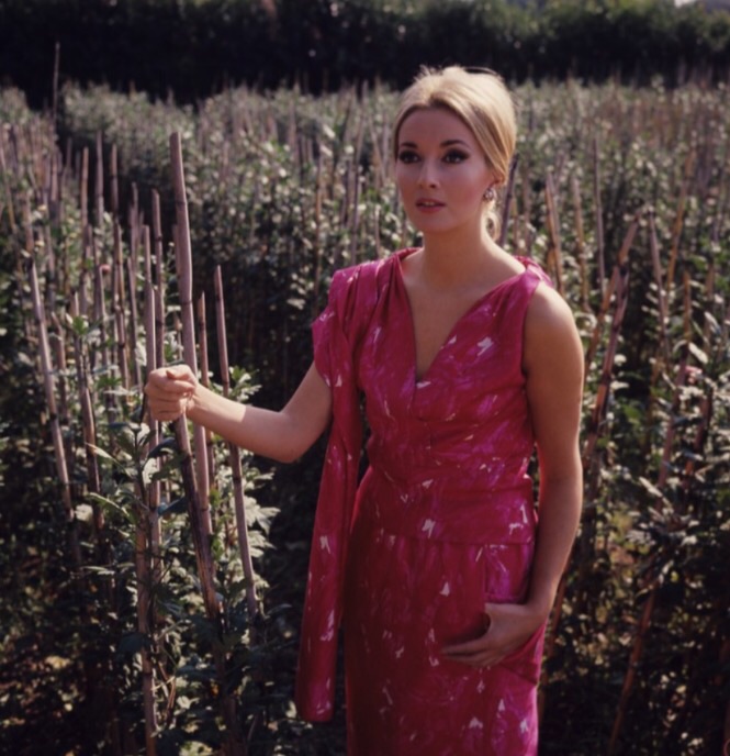 Daniela Bianchi Daniela Bianchi