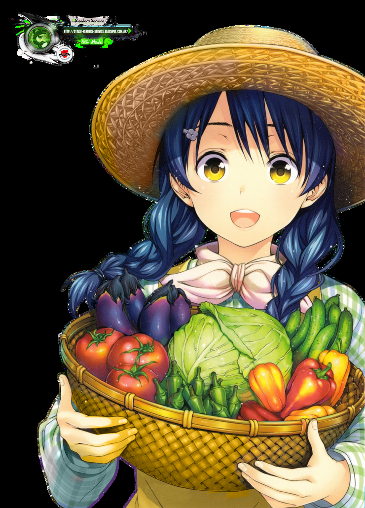 Food Wars: Shokugeki no Soma