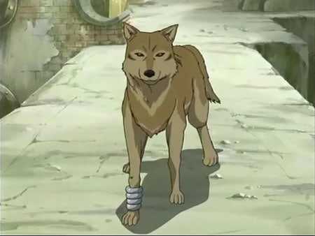 Wolf's Rain