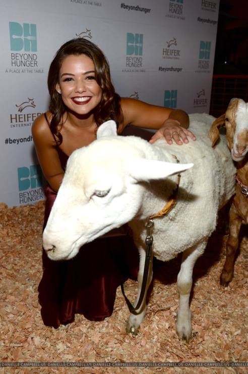 Danielle Campbell