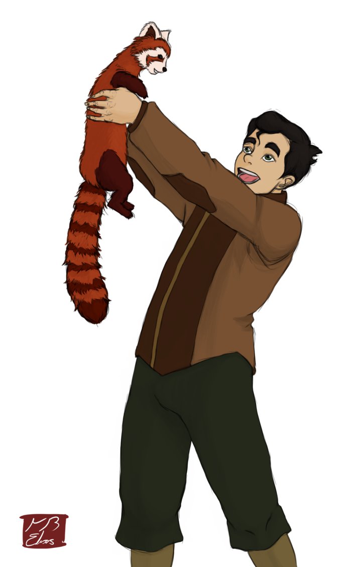 The Legend of Korra
