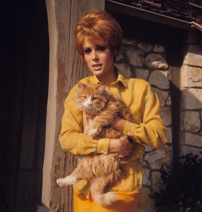 Jill St. John
