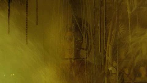 House of Wax