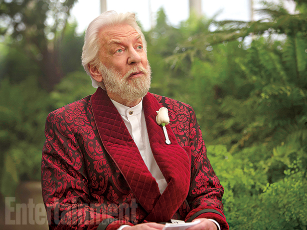 The Hunger Games: Mockingjay - Part 2