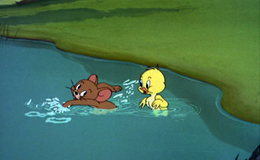 Quacker