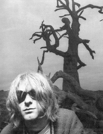 Kurt Cobain Kurt Cobain
