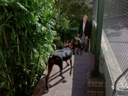 Columbo: How to Dial a Murder
