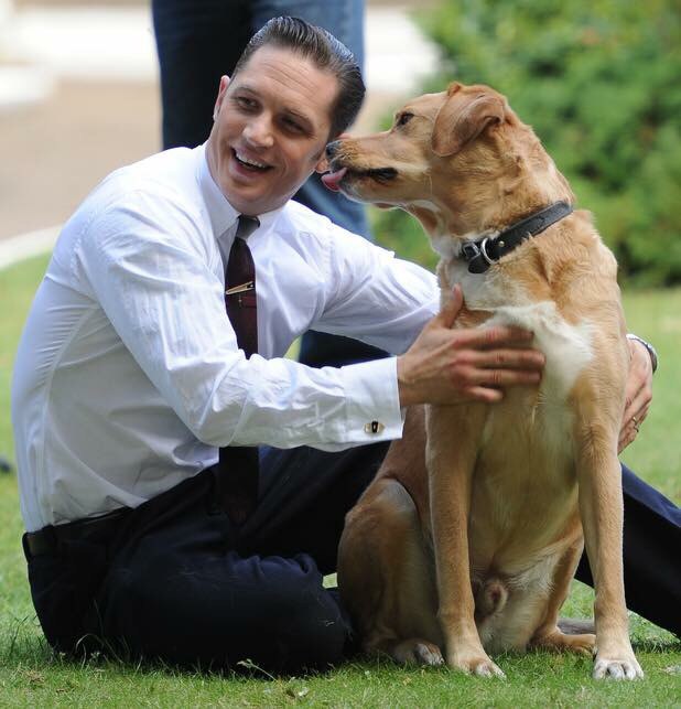 Tom Hardy Tom Hardy