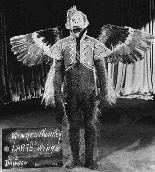 Winged Monkeys