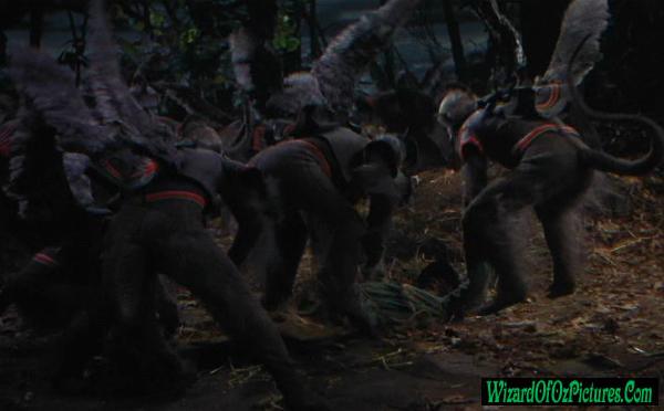 Winged Monkeys