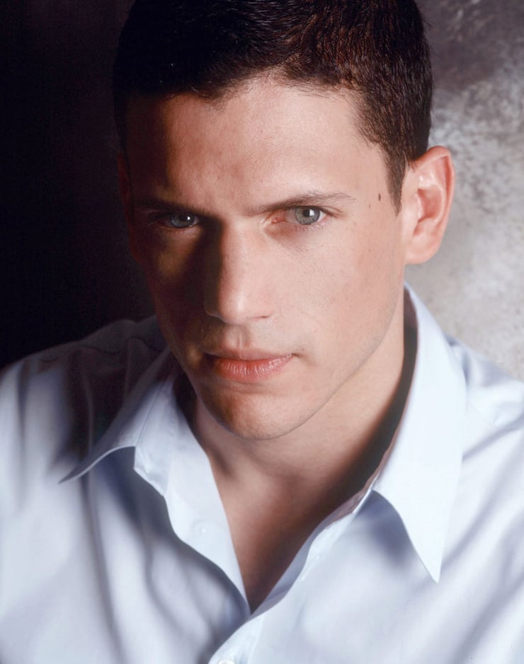 Picture Of Wentworth Miller