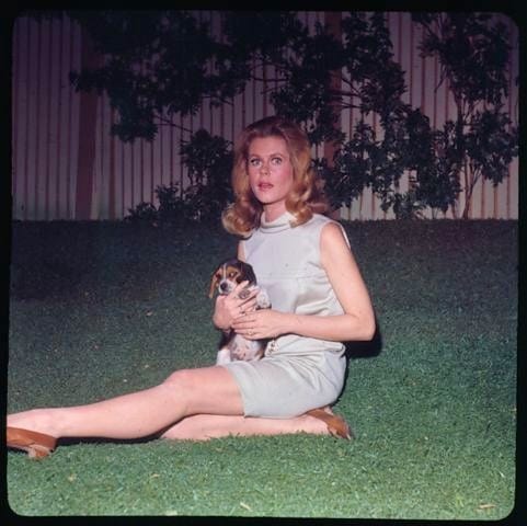 Elizabeth Montgomery