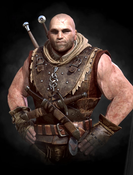 witcher letho of gulet
