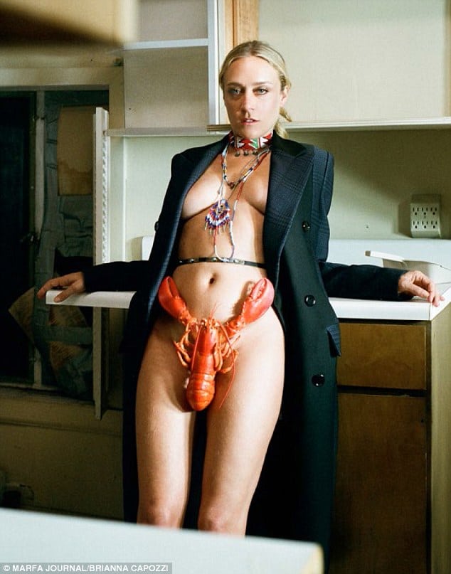 Chloe Sevigny Sexy