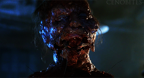The Fly