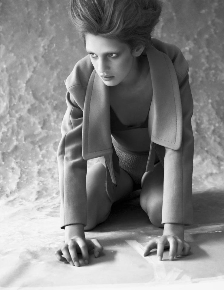 Ilvie Wittek
