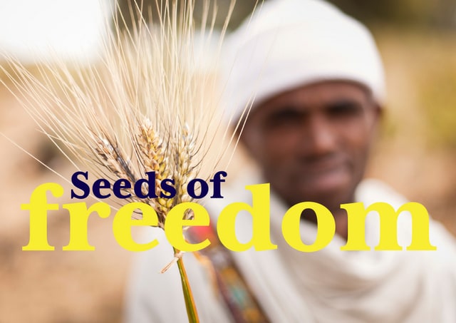 Seeds of Freedom