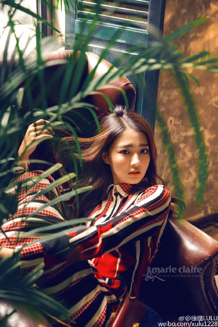Lu Xu