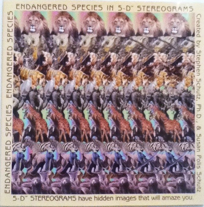 Endangered Species in 5-D Stereograms