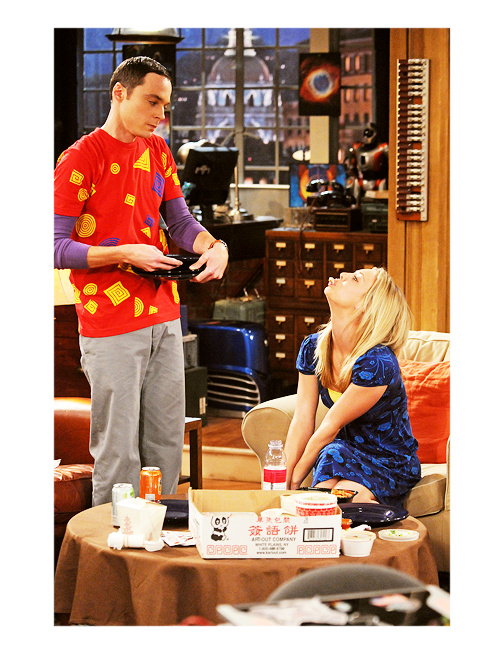 The Big Bang Theory