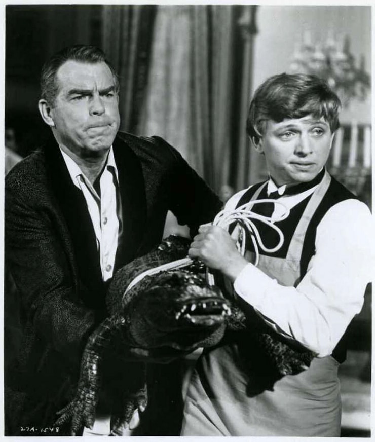 Fred MacMurray Fred MacMurray