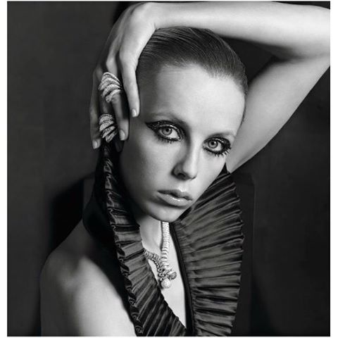 Edie Campbell