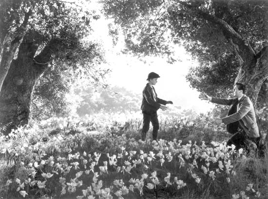 How Green Was My Valley (1941) How Green Was My Valley (1941)