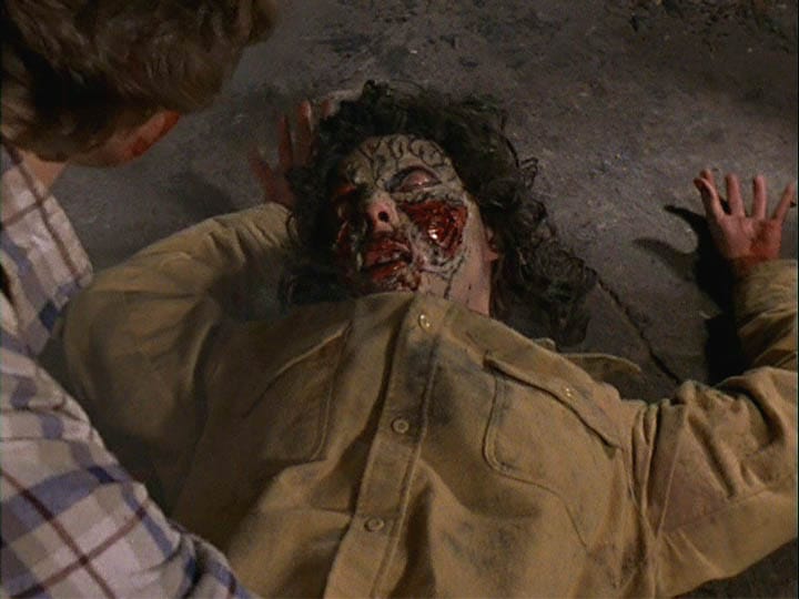 The Evil Dead  (1981)