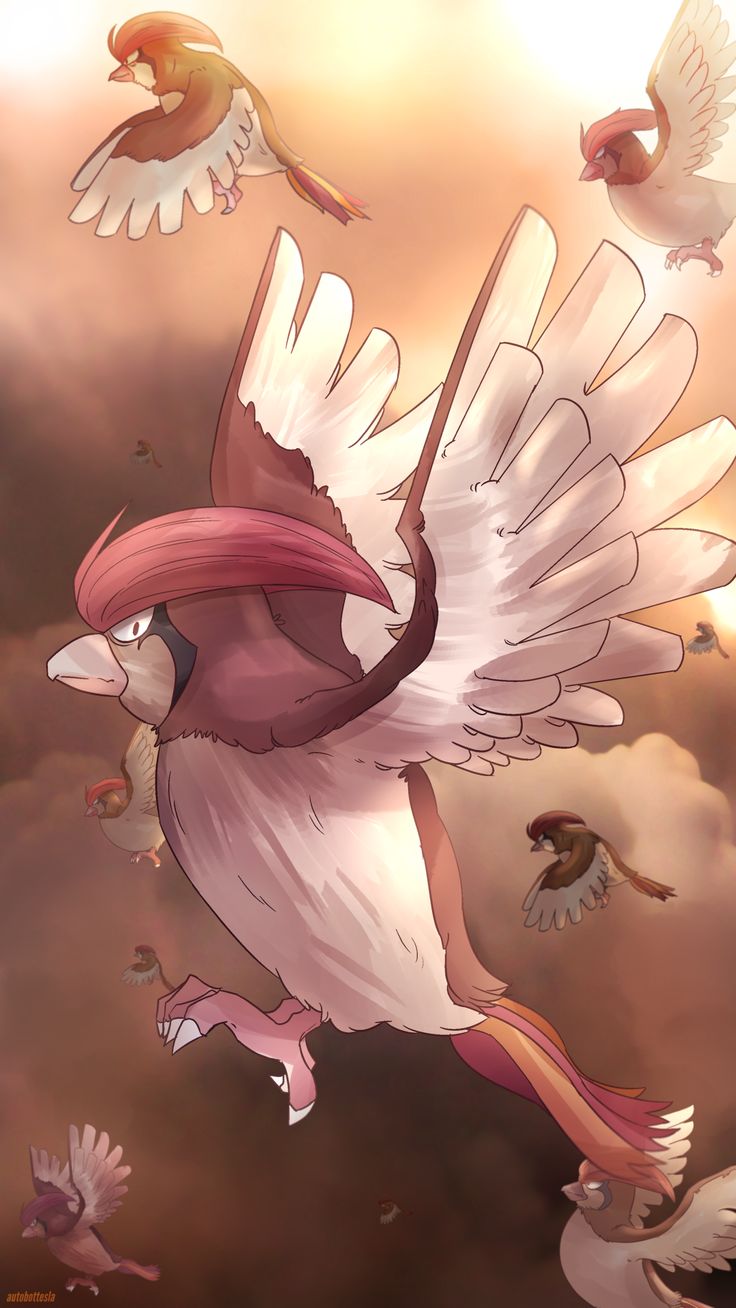 Pidgeotto