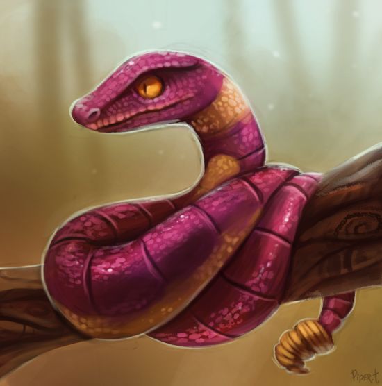 Ekans