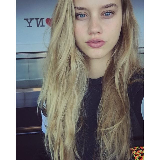 Chase Carter Chase Carter
