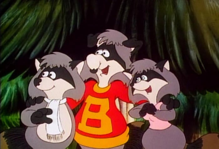 The Raccoons The Raccoons