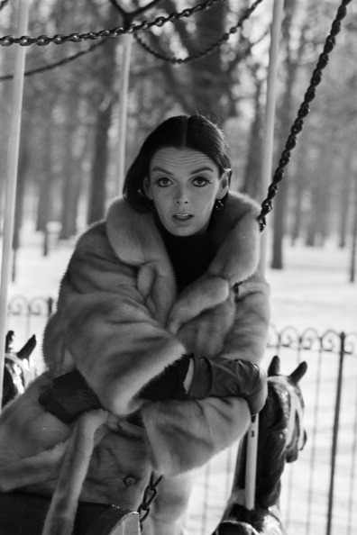Barbara Steele Barbara Steele