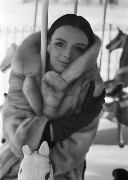 Barbara Steele Barbara Steele
