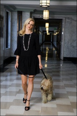 Amy Smart Amy Smart