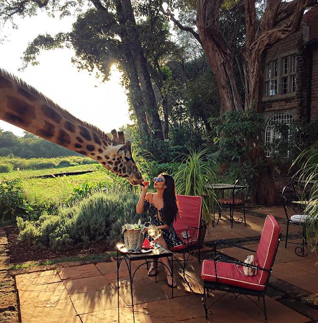 Shay Mitchell Shay Mitchell