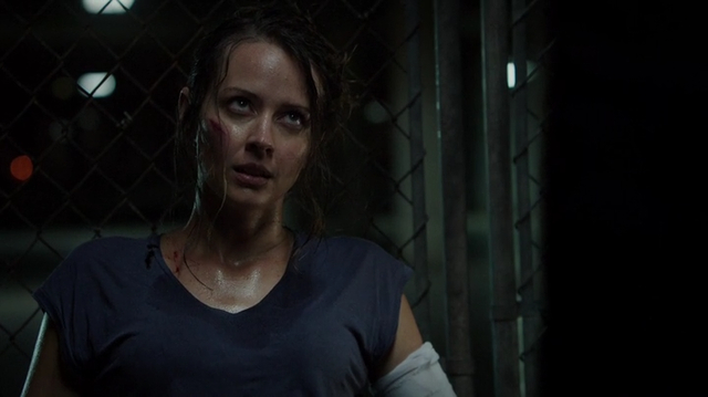 Samantha Groves (Root)