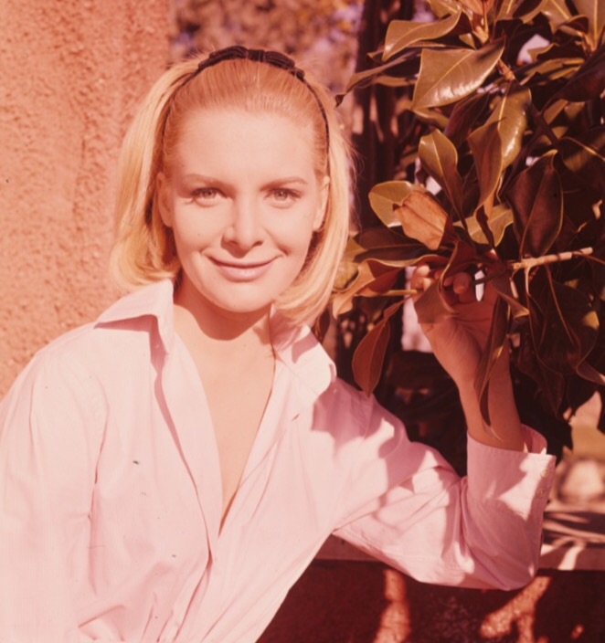 Ingrid Schoeller picture